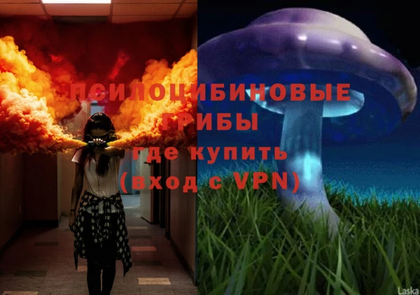 меф Белокуриха