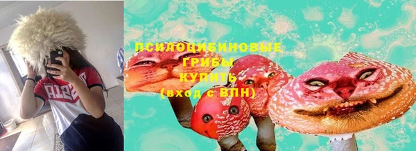 PSILOCYBIN Белоозёрский