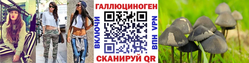 Галлюциногенные грибы Cubensis  наркота  ссылка на мегу ссылка  Гай 
